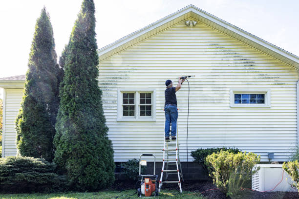 Best Roof Cleaning and Mildew Removal in Ashland, MO